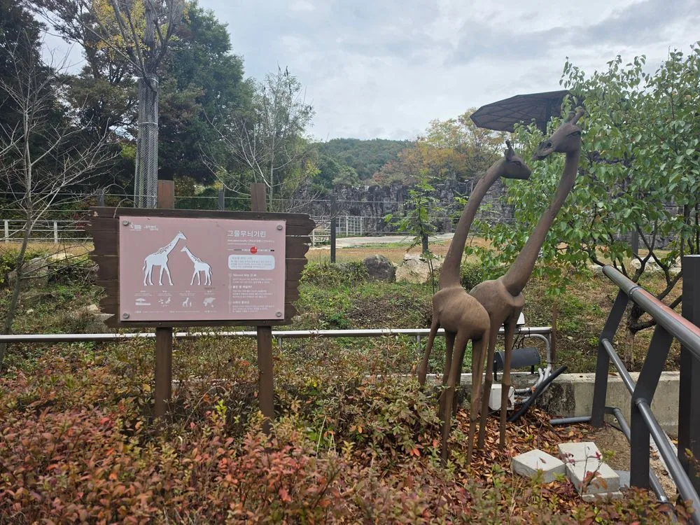기린 안내판과 조형물 뒤로 보이는 이른 시간의 야외 방사장